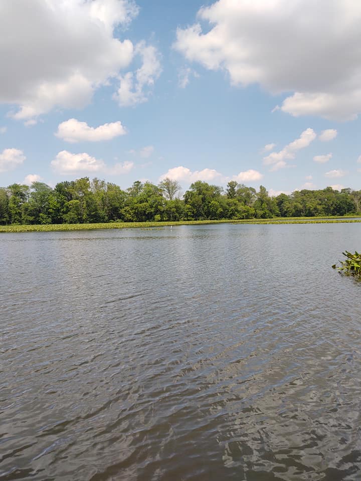 Du Quoin City Lake